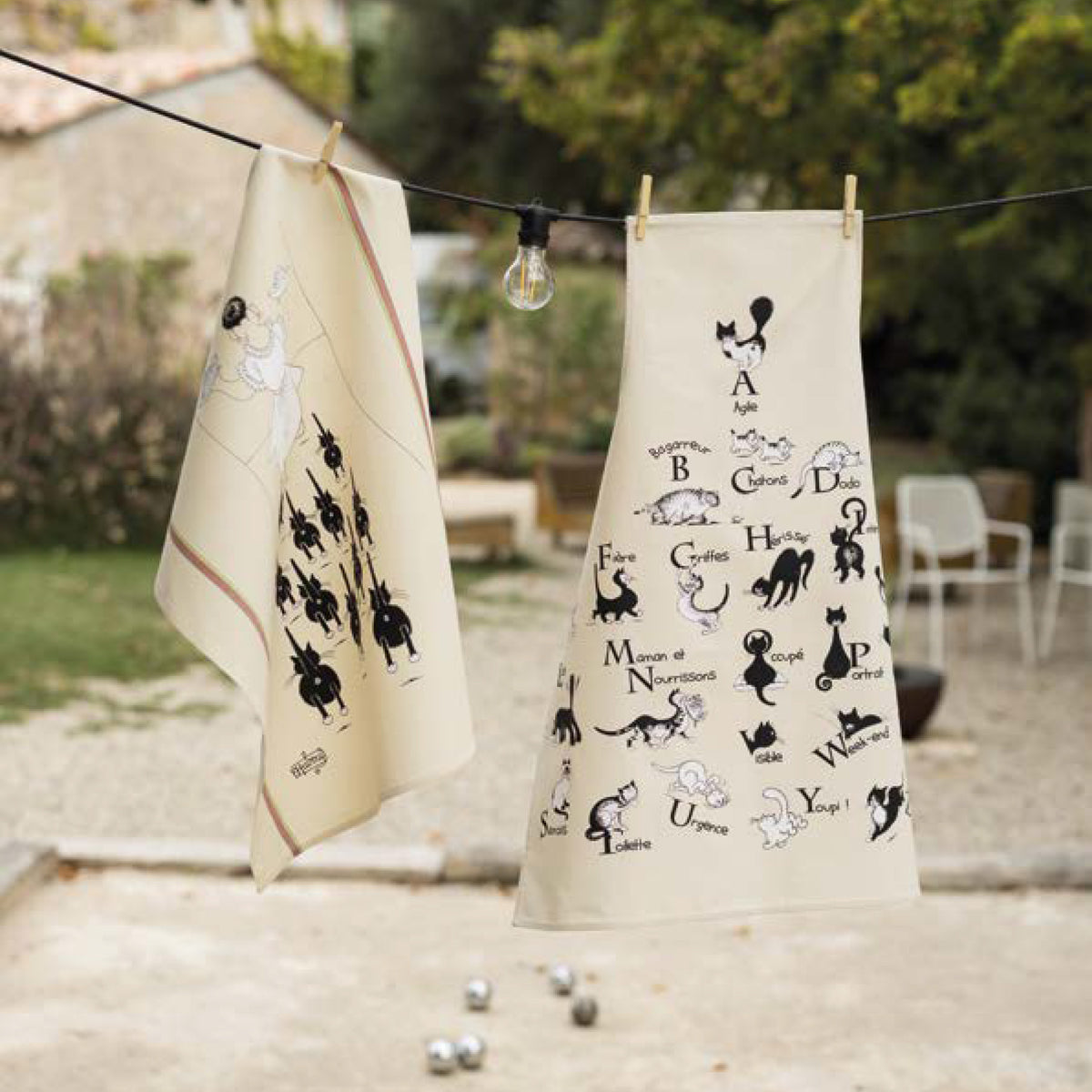 トルション( 黒猫 )