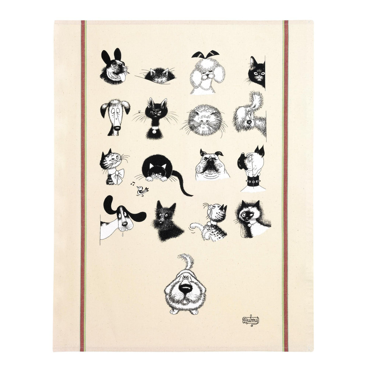 トルション( 黒猫 )